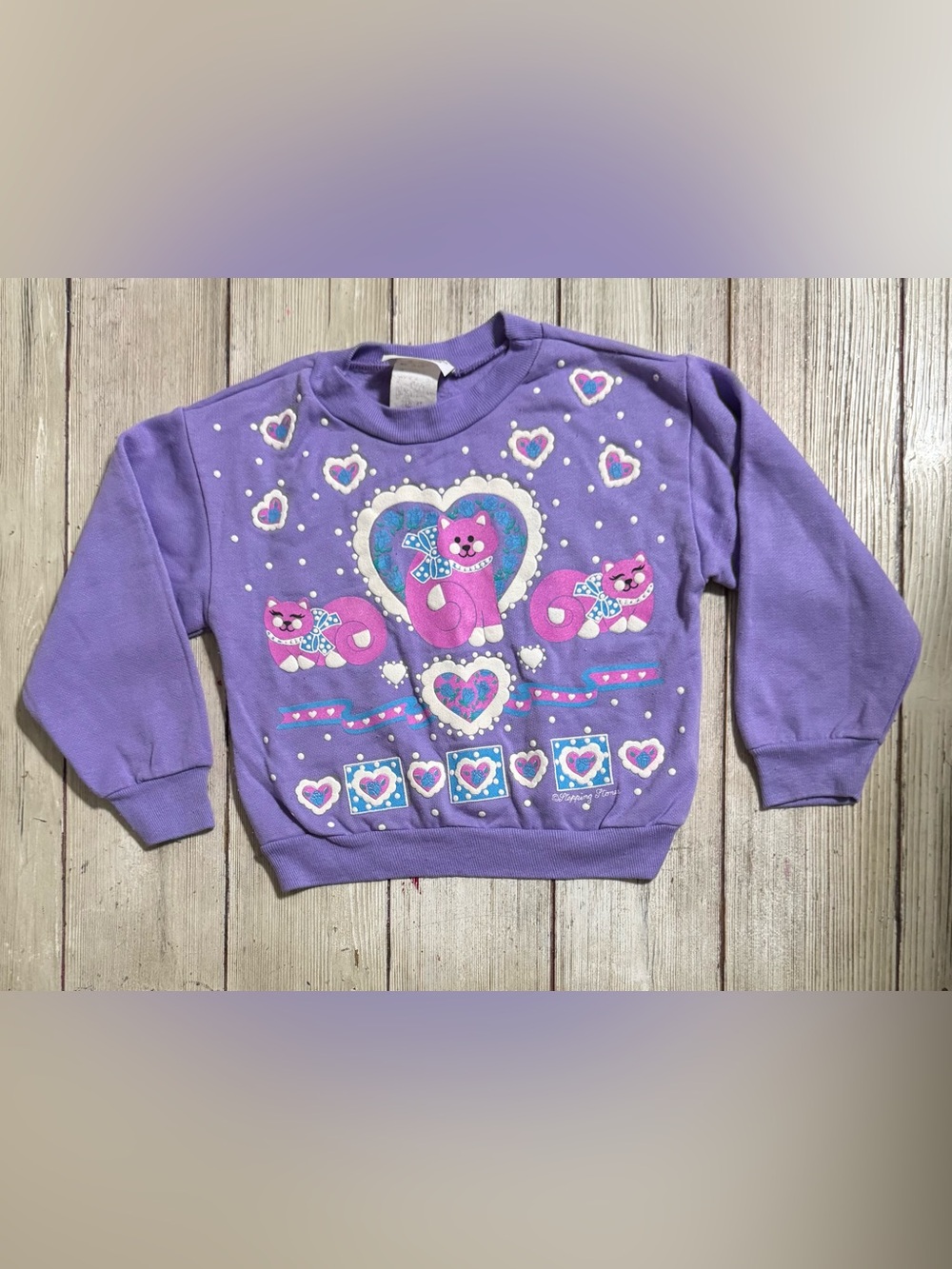 Vintage Stepping Stones Kitten Cat sweatshirt 4t girls Spumoni style